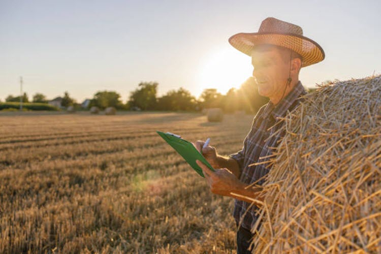 Hay Quality Assurance