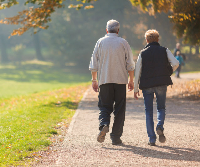 Whole Life Insurance