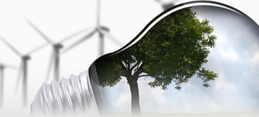 LEED, Green Associate