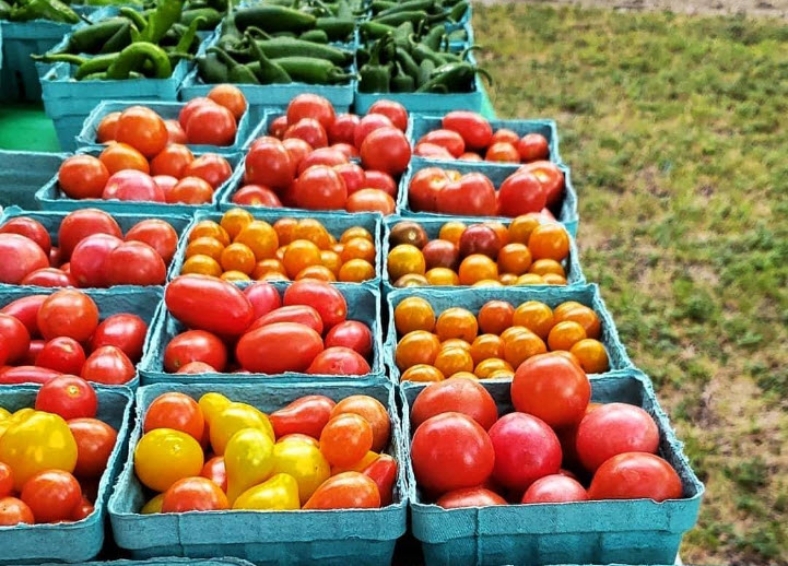Fresh Organic Produce