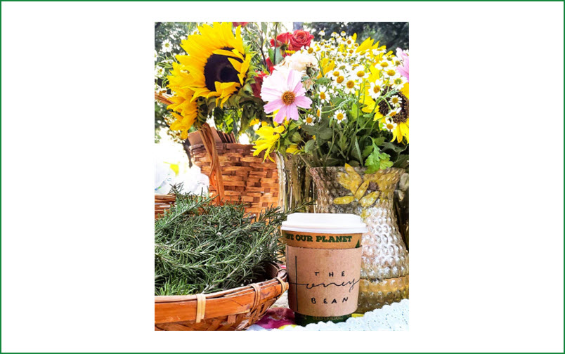 Fresh Cut Flowers and Plants