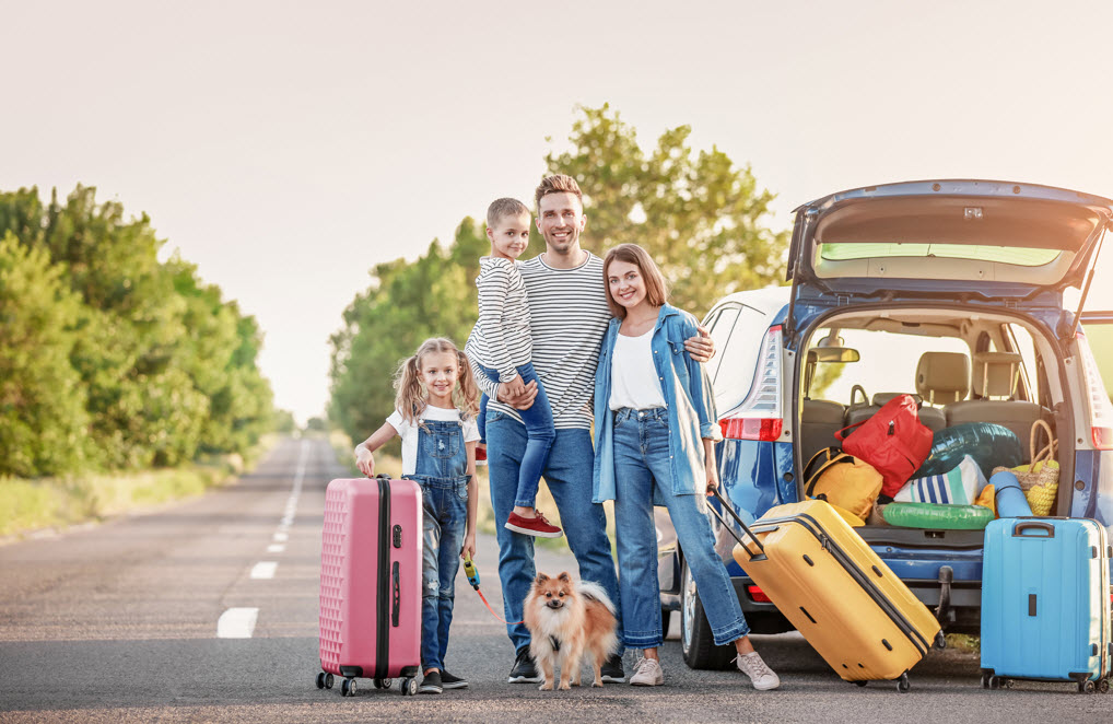 Domestic Travel