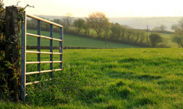 Fencing and Gates