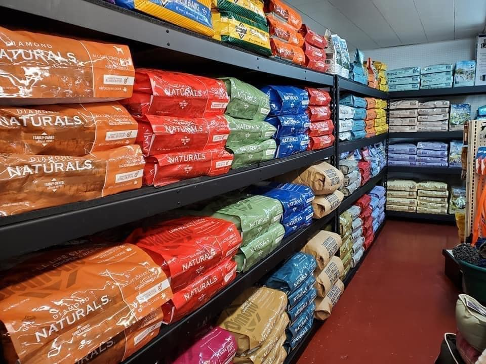 Pet Food & Supplies