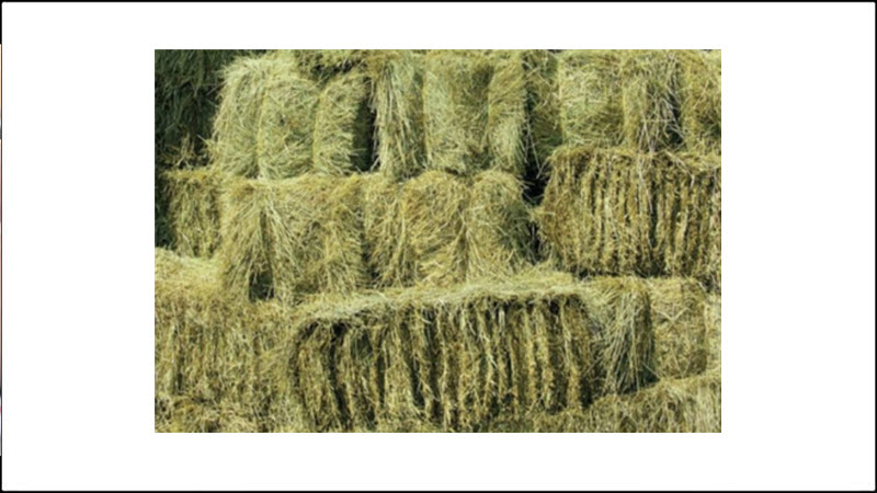 Hay, Straw & Bedding