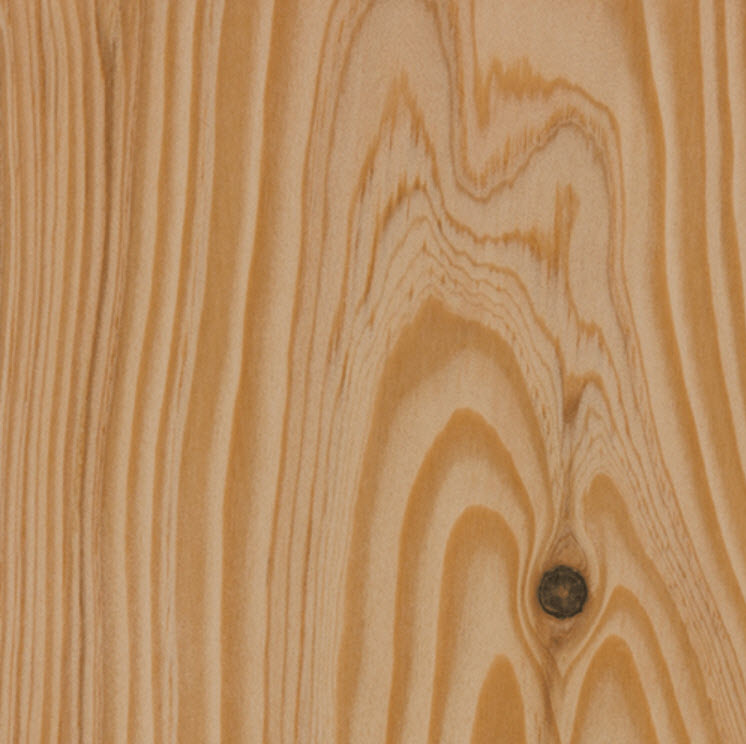 Douglas Fir