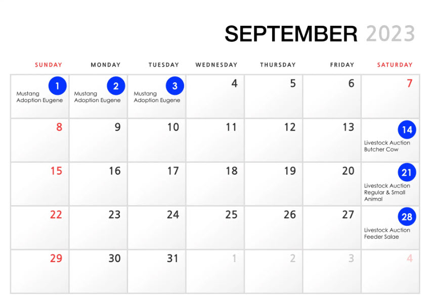 Community Activity Calendar