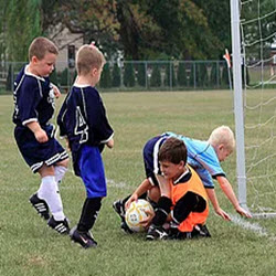 Sport Field