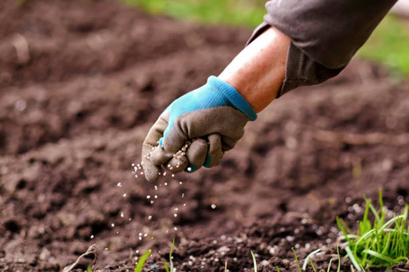 Soil Analysis & Fertility Management