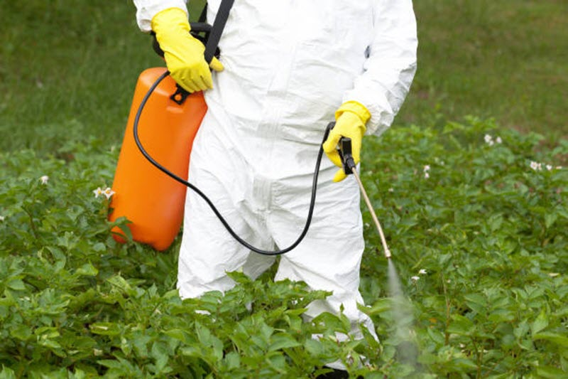 Pest & Weed Control Solutions