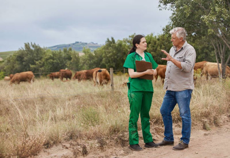 Livestock Consultation