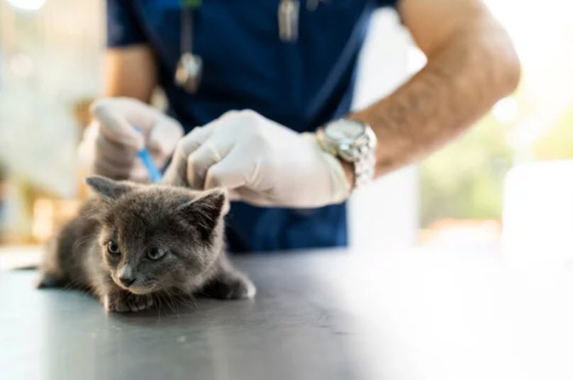 Vaccinations