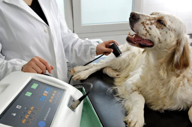 Laboratory Services