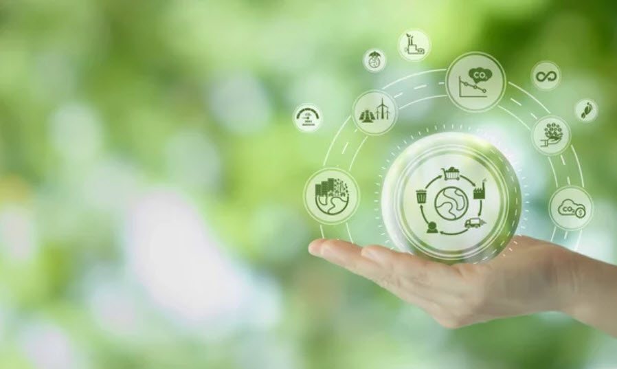 Environmental Impact Assessment