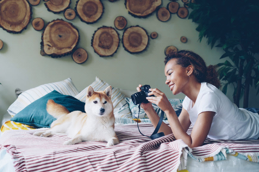 Pet Photography