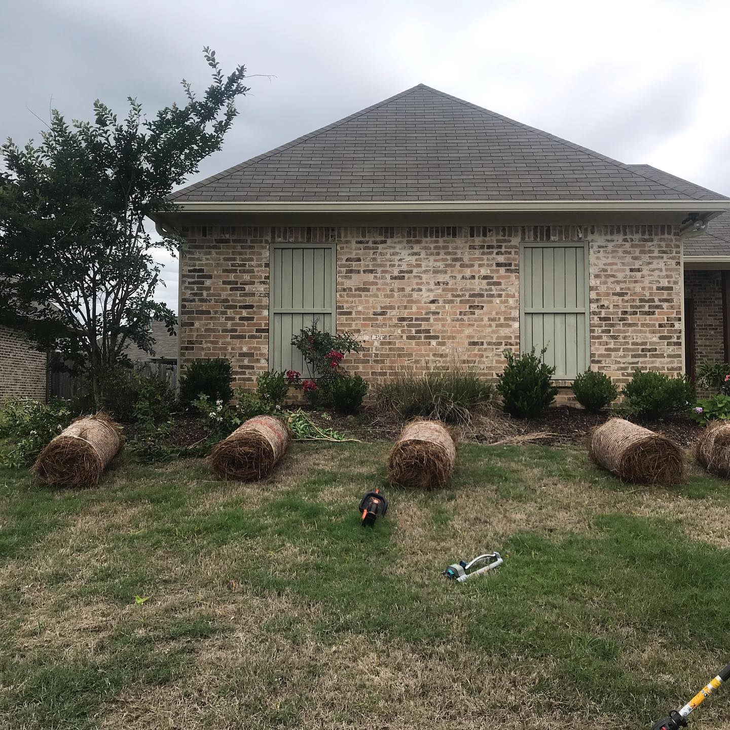 Sod Installation