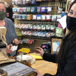 Visa Credit Cards
