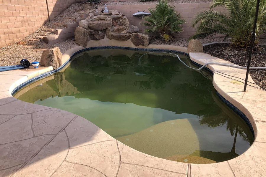 Green Pool Cleanup