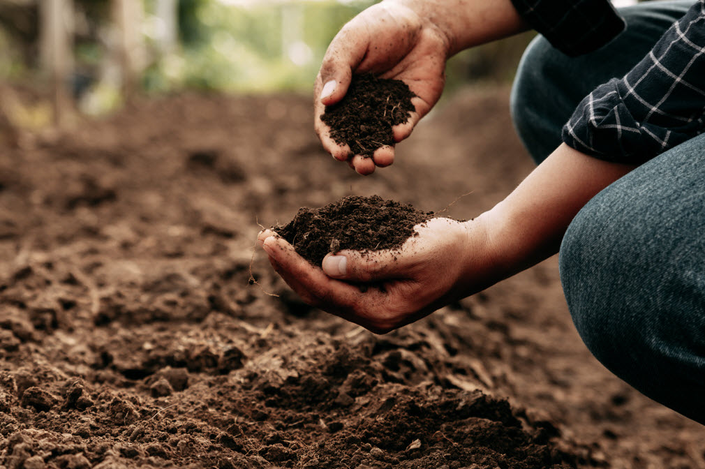 Soil Testing and Analysis