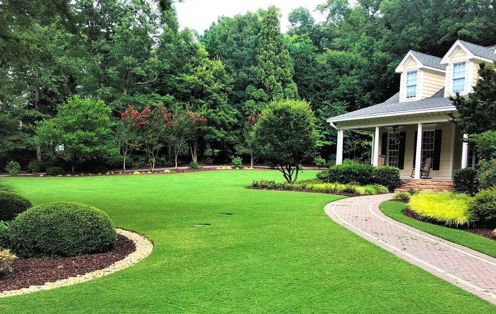 Bermuda Sod