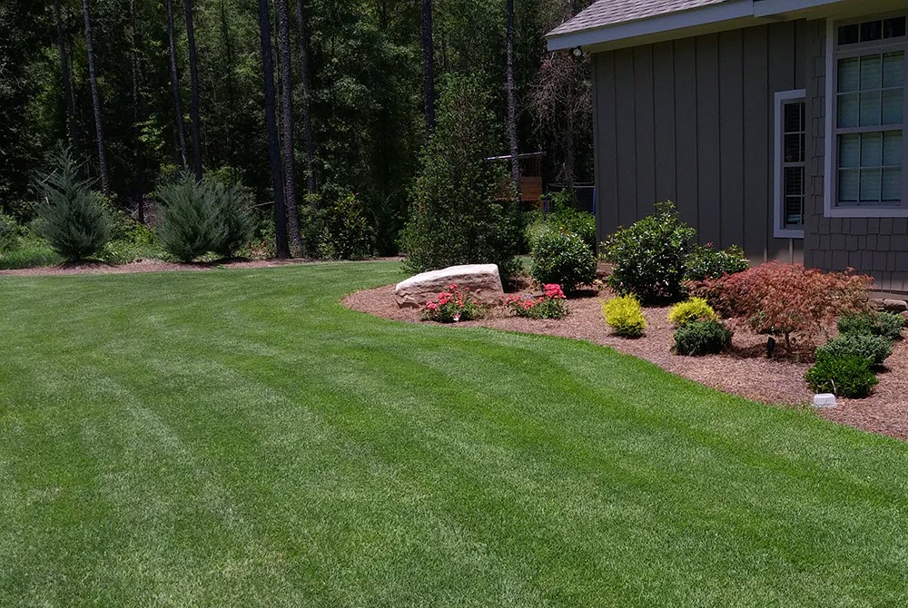 Zoysia Sod