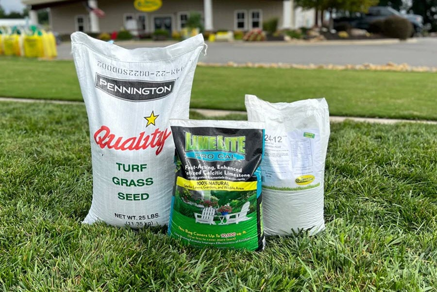  Fresh Grass Seed