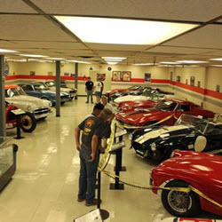 Museum Tours