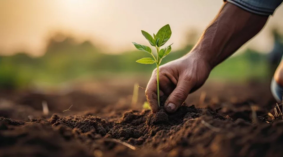 Sustainable Farming