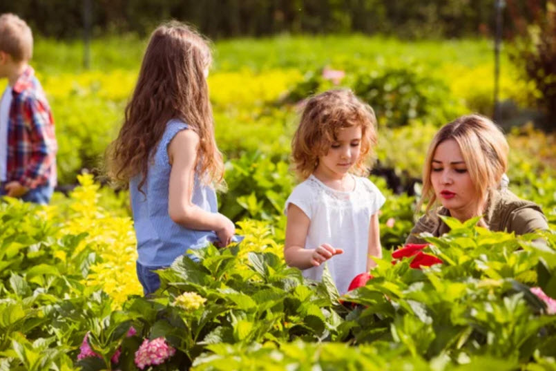 Farm Tours and Education