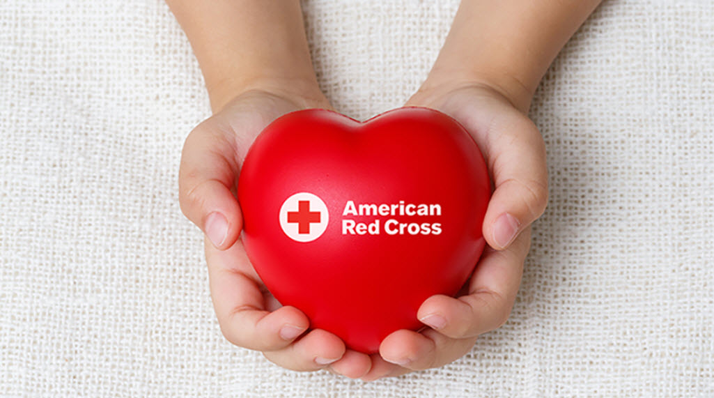 Schedule an Appointment