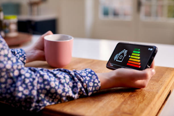 Energy Efficiency Programs