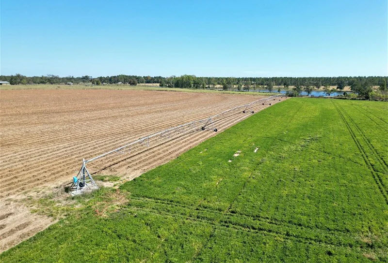 Farms in South Georgia