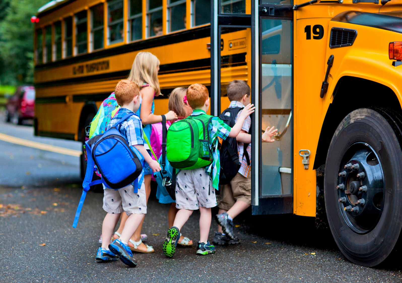 Transportation and Buses