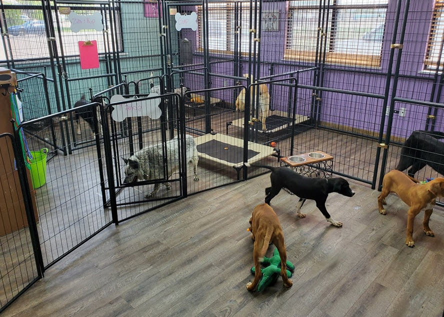 Day Care 
