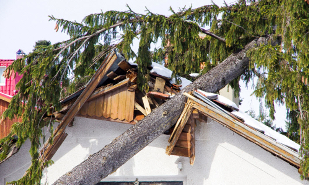 Storm Damage Restoration