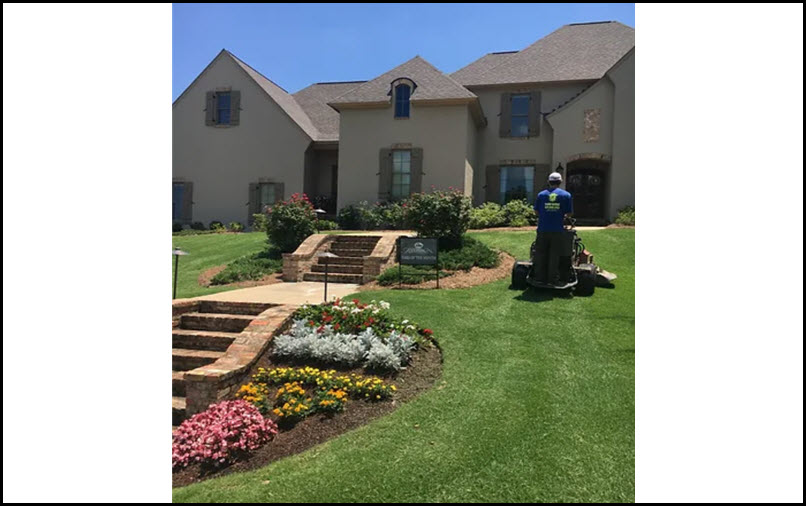 Commercial /Residential lawn care