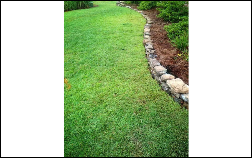 Lawn Drainage