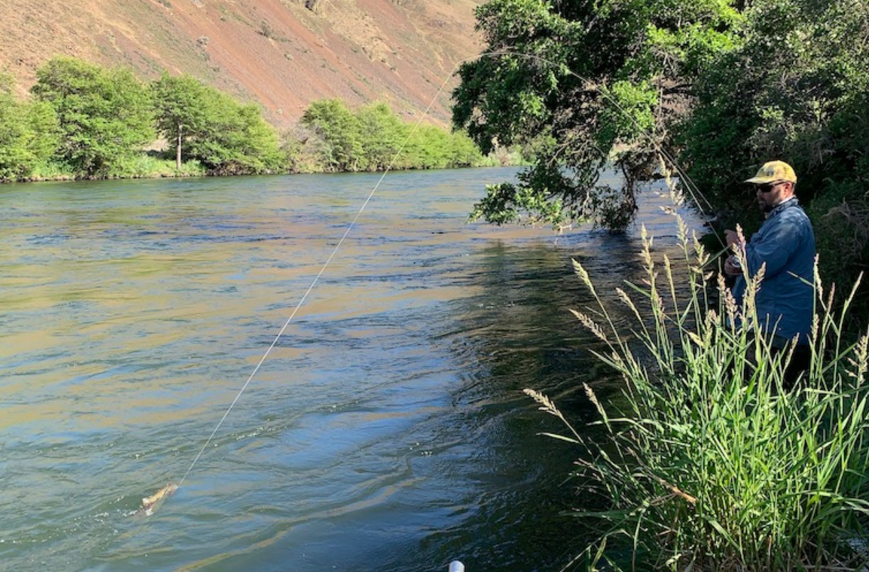 Lower Deschutes River Day Trips