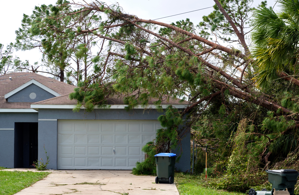 Emergency Storm Damage 