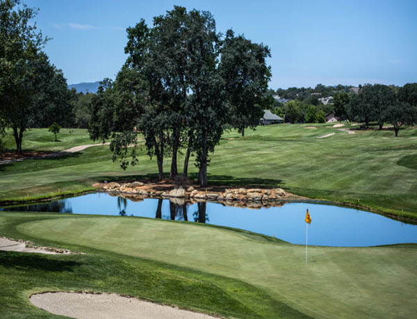 Golf Club Field