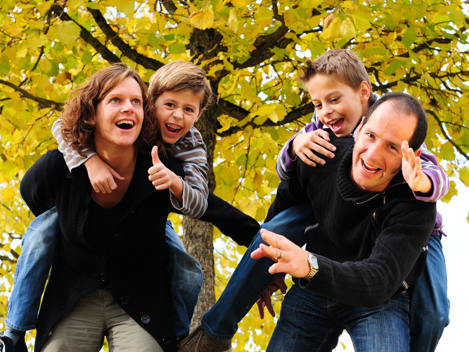 Wealth Transfer & Succession Planning