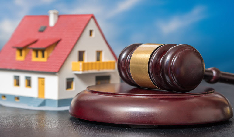 Land Use Litigation