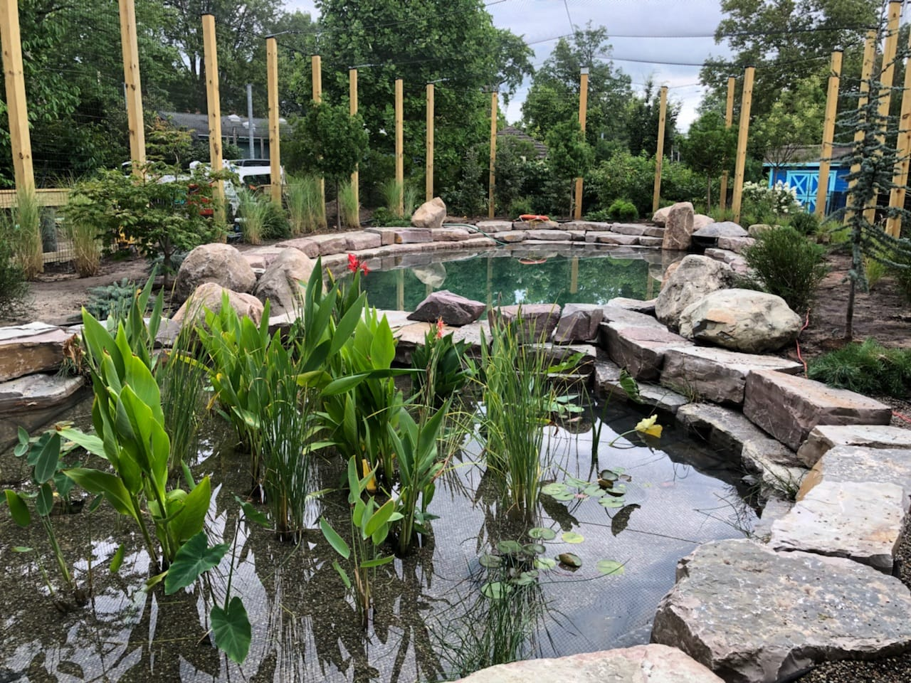 Aquatic Division