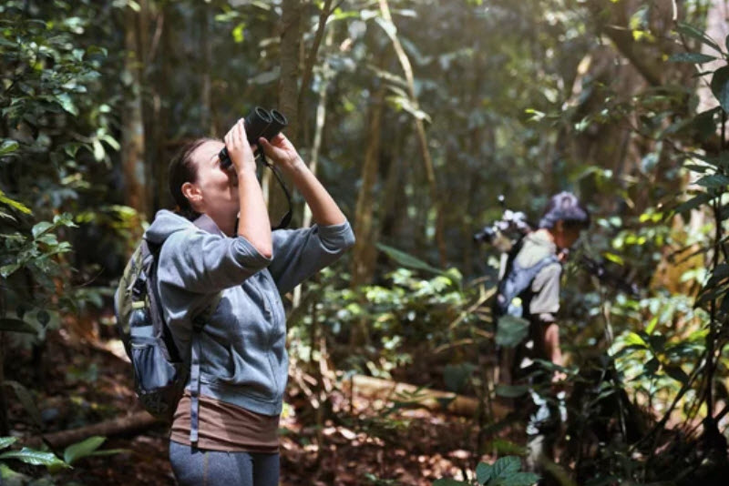 Wildlife Observation Tours