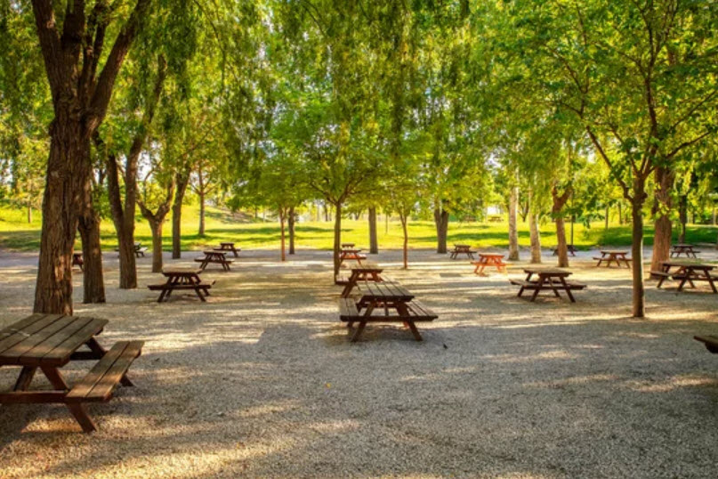 Picnic Areas