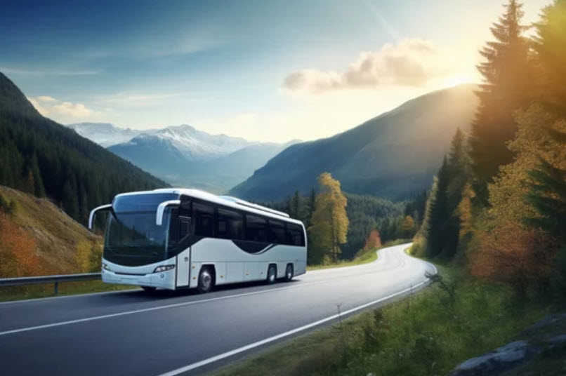 Land Tours