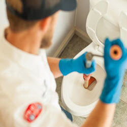 Laundry, Toilet Repair and Service