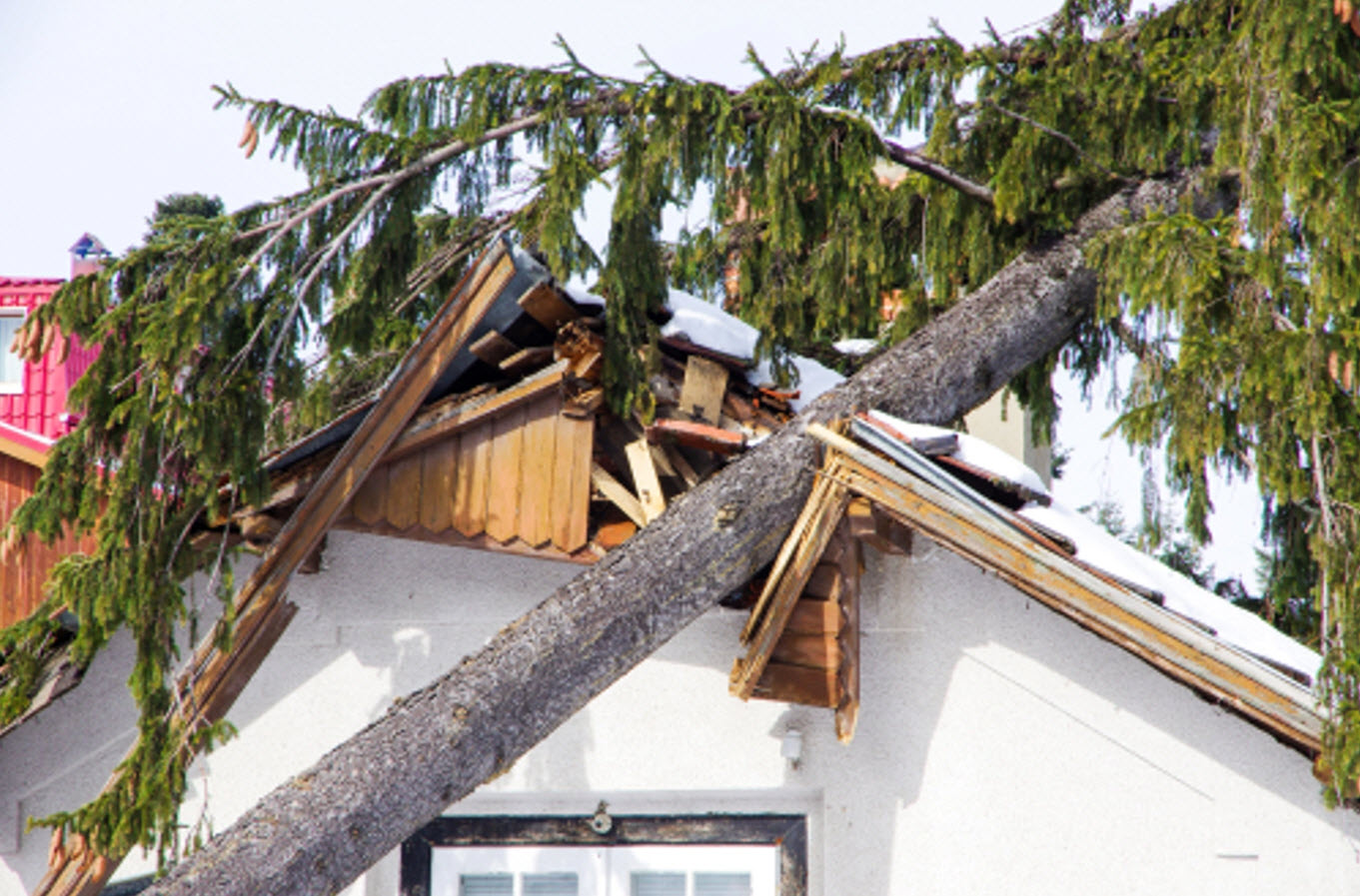 Storm Damage Restoration