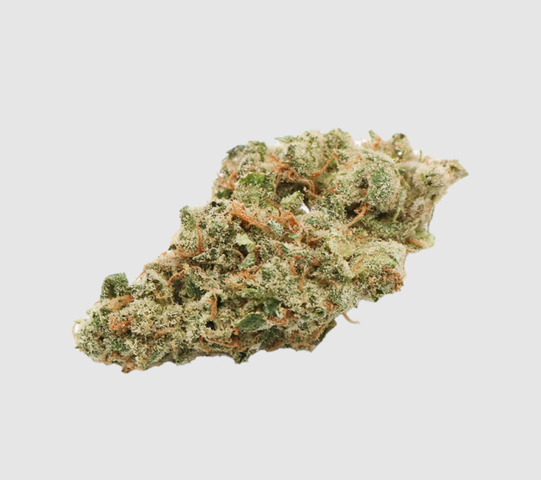 Sativa