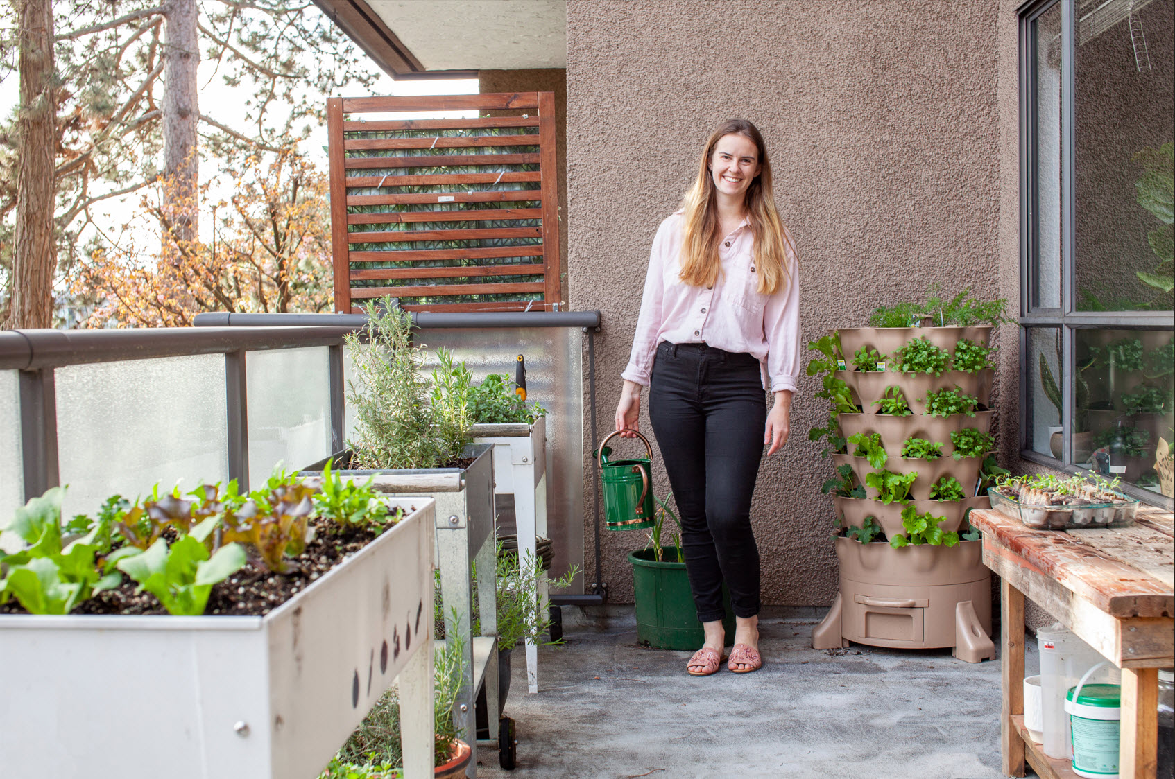 Vegetable Transplants for Home Gardens
